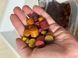 Довгорозчинний пелетс "FruitMix" 4+8+12+16mm. 1кг 6891216 фото 3